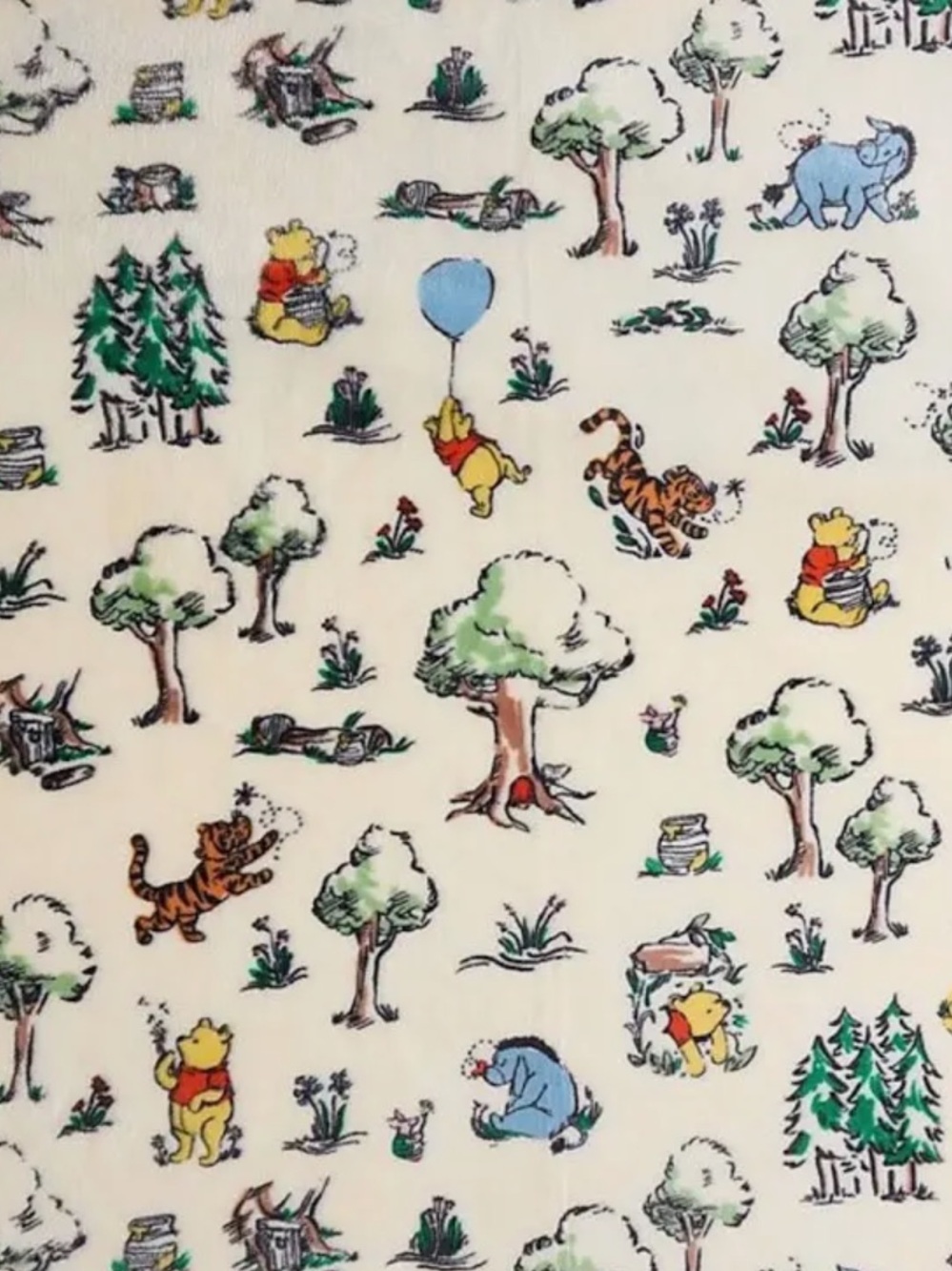 Classic Winnie the Pooh Hundred Acre Wood Oversized Plush Throw Blanket NEW
